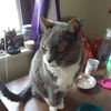 pamela_rowlette